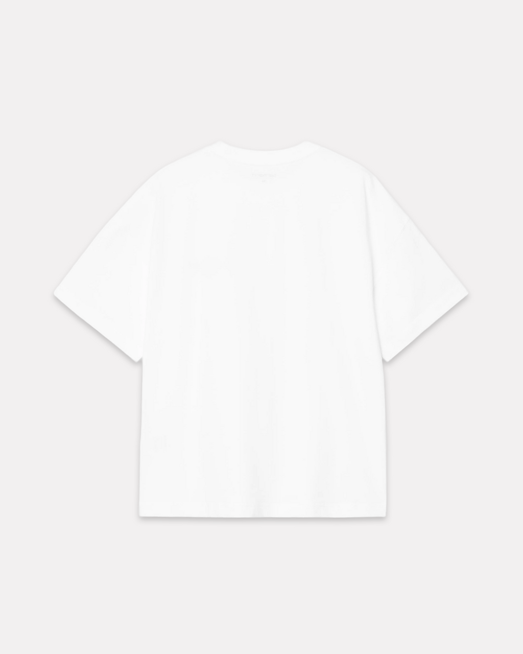 CARHARTT WIP - SIGNATURE SCRIPT TEE WHITE