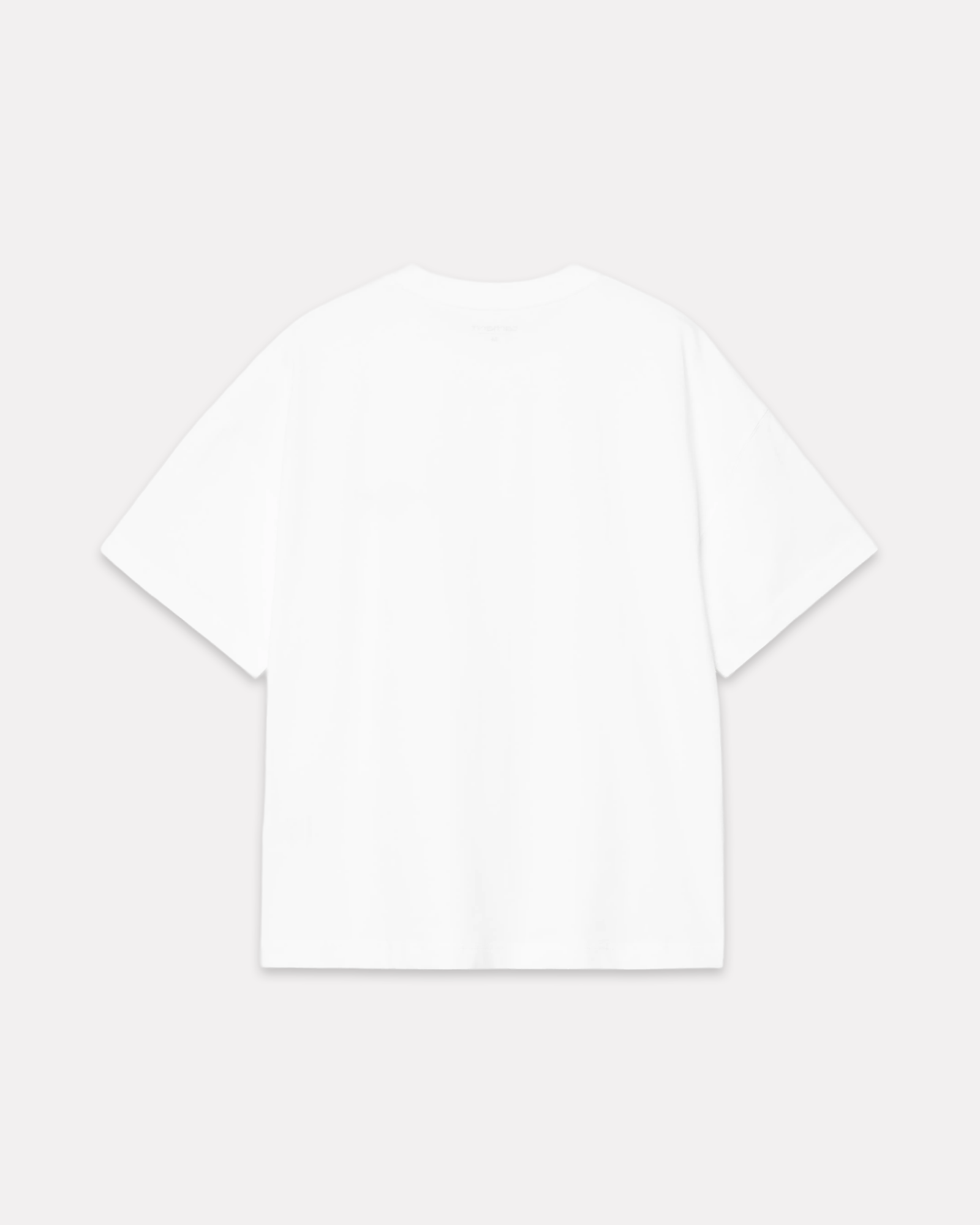 CARHARTT WIP - SIGNATURE SCRIPT TEE WHITE