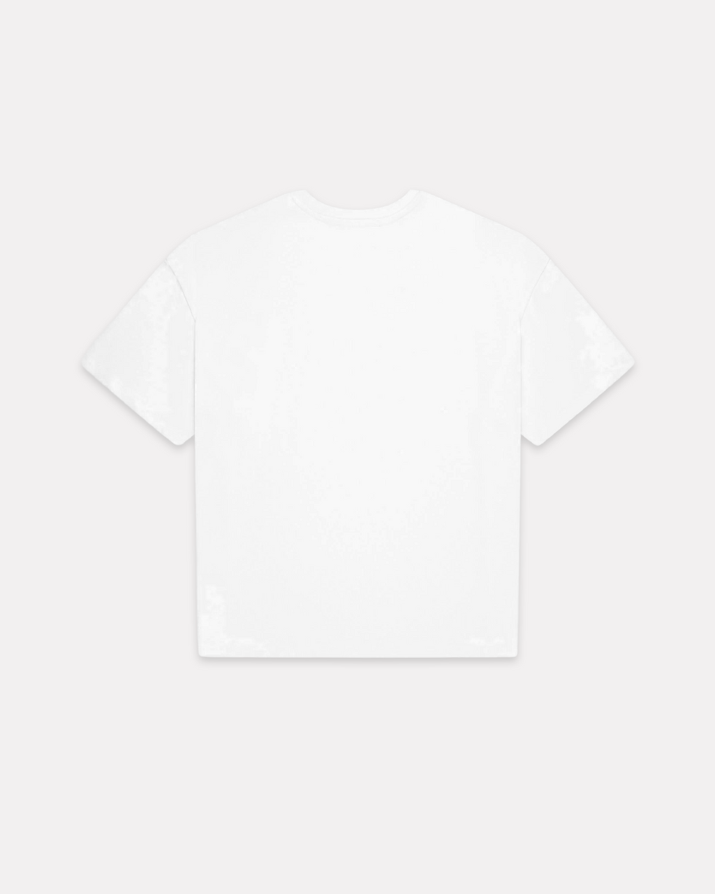VICINITY - ALL SEASONS BOXY TEE WHITE
