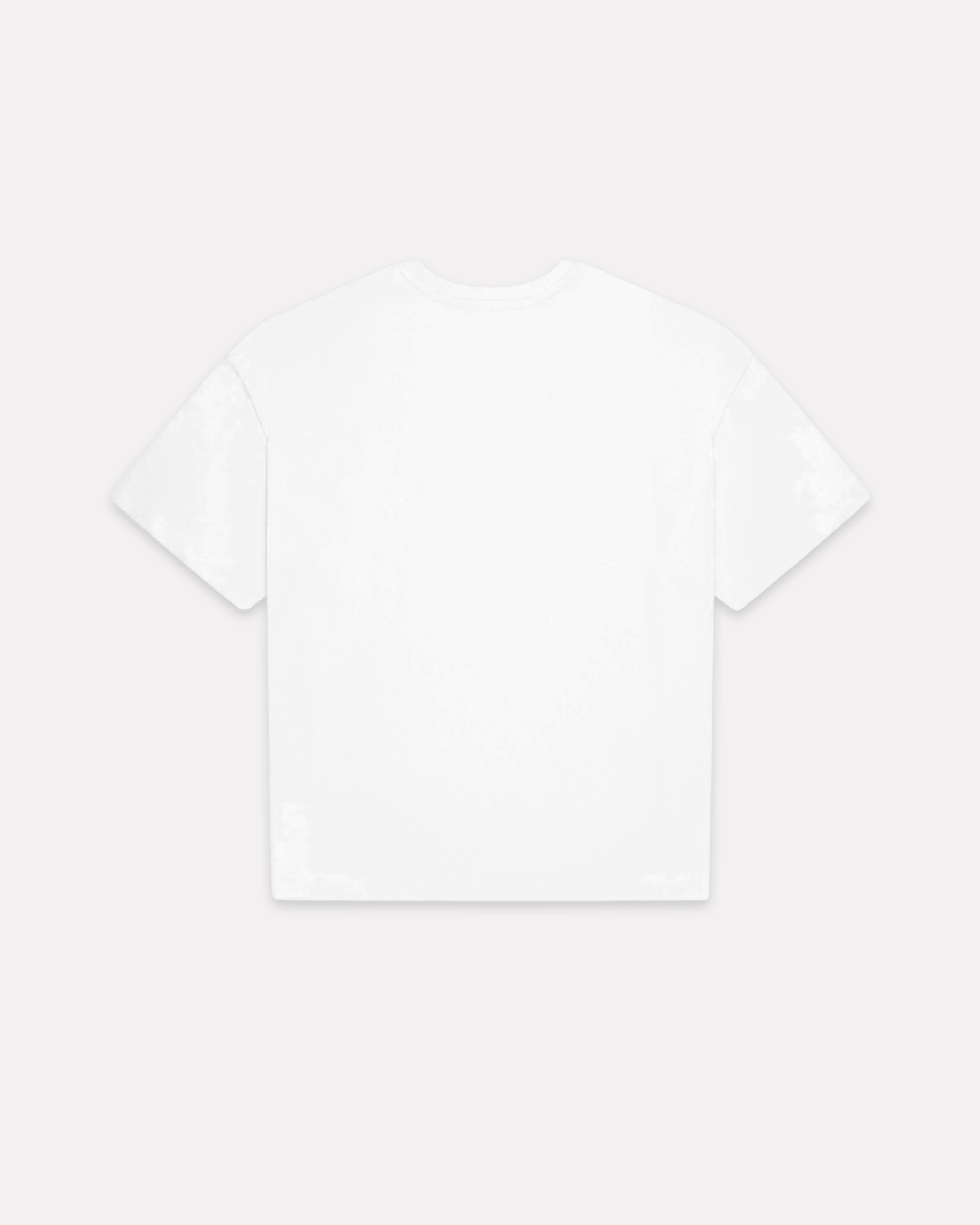 VICINITY - ALL SEASONS BOXY TEE WHITE